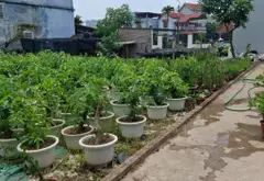 Cơ hội sở hữu đất thổ cư hiếm có tại xã Phụng Công, Văn Giang với giá tốt... Bán owner_side tại Tân Hưng, Hưng Yên 02