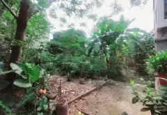 Thửa đất vuông vắn giá cực tốt tại Phú Mỹ - Biên Giang... Bán đất tại Chương Mỹ, Hà Nội 08