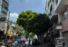 Bán nhà 4 tầng mặt tiền 3.6m tại phường 9, Tân Bình, hướng Nam... Bán owner_side tại Tân Hòa, Hồ Chí Minh 01