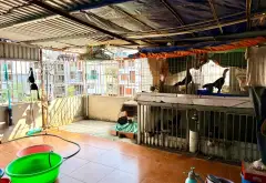 Nhà đẹp 3 tầng hướng Đông Bắc, gần bãi tắm Cột 8... Bán nhà riêng tại Hạ Long, Quảng Ninh 06
