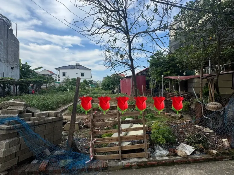 ⭕️Hơn 3 tỷ lô 126m2 Đất Sát Hồ Điều Hòa Quang Minh - Sổ Đỏ Sẵn, Ô Tô Vào Tận Nơi Võ Văn Kiệt... Bán đất tại Quang Minh, Hà Nội 01