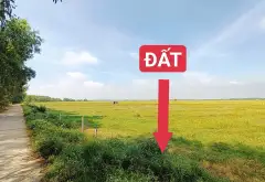 Bán đất 533m2 xã Trung Lập, Củ Chi giá 1.3 tỷ, mặt tiền 12m... Bán đất tại Thái Mỹ, Hồ Chí Minh 07