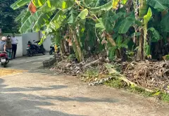🔥 Lô góc 2 mặt thoáng – Tập Ninh, Chi Lăng, Bắc Ninh | 110m² – Chi Lăng Bắc Ninh - 1.95 tỷ... Bán đất tại Chi Lăng, Bắc Ninh 01