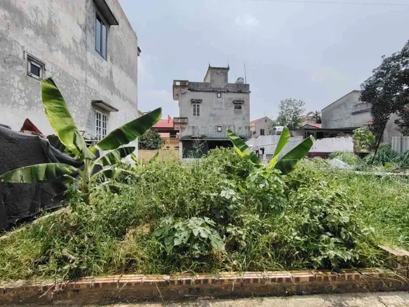 Bán đất 40m² mặt tiền 4.2m tại khu vực phát triển gần trung tâm, giá ưu đãi... Bán đất tại Song Liễu, Bắc Ninh 01