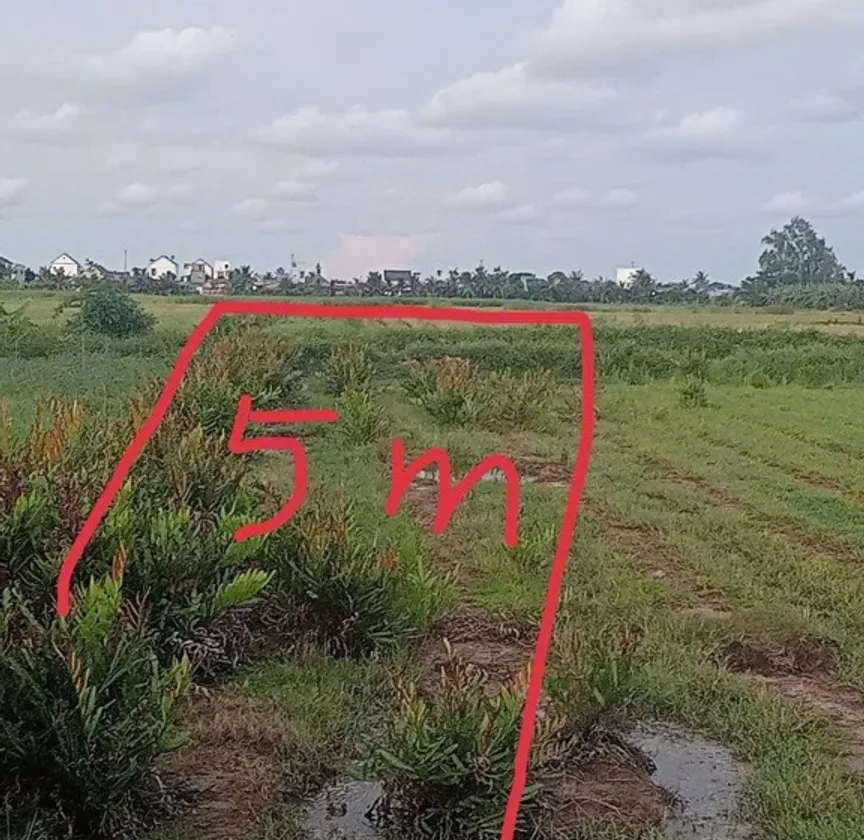 Bán đất thửa 314 xã Xuân Hưng, Tiên Lãng, diện tích 170m², giá 1,8 tỷ đồng... Bán đất tại Chấn Hưng, Hải Phòng 01