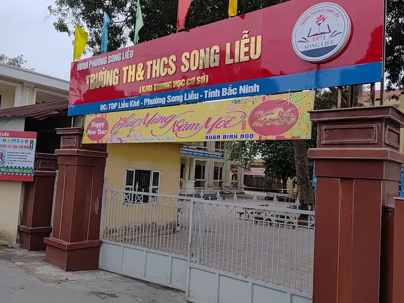 bán lô đất 95m2 mặt tiền 5m tại song liễu liễu khê.bắc ninh... Bán đất tại Song Liễu, Bắc Ninh 01