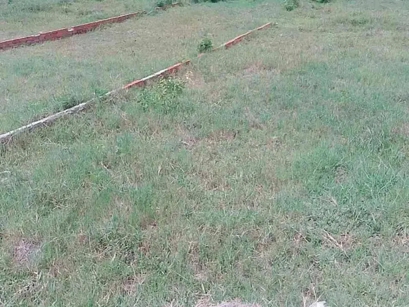 Siêu phẩm đất mặt tiền đường Ba Sa, Tân An Hội giá tốt... Bán đất tại Tân An Hội, Hồ Chí Minh 01