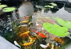 Cơ Hội Vàng Sở Hữu Căn Hộ Duplex Lô Góc Trung Tâm Cầu Giấy... Bán căn hộ chung cư tại Cầu Giấy, Hà Nội 11