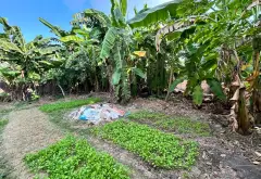 🔥 Lô góc 2 mặt thoáng – Tập Ninh, Chi Lăng, Bắc Ninh | 110m² – Chi Lăng Bắc Ninh - 1.95 tỷ... Bán đất tại Chi Lăng, Bắc Ninh 06
