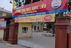 Đất hiếm ô tô vào đất , 15m ra phố kinh doanh sầm uất... Bán đất tại Song Liễu, Bắc Ninh 03