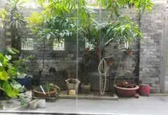 Biệt thự riêng tư ven trung tâm Tân Bình... Bán nhà riêng tại Tân Sơn Hòa, Hồ Chí Minh 09