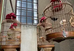 Nhà mặt phố rộng rãi, mặt tiền 6.4m tại trung tâm quận Hoàn Kiếm... Bán nhà mặt phố tại Ngô Quyền, Hải Phòng 06