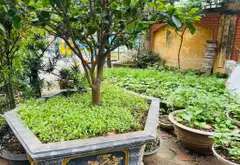 Biệt thự, liền kề ô tô tránh gần trung tâm, cơ hội sở hữu giá tốt... Bán biệt thự, liền kề tại Kiến Hưng, Hà Nội 06