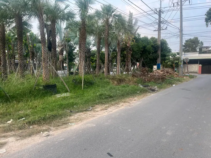 Đất ngày góc mặt tiền Tỉnh Lộ 2 - vị trí vàng cho nhà đầu tư... Bán đất tại Củ Chi, Hồ Chí Minh 01