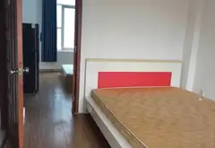 BÁN CĂN HỘ DỊCH VỤ MINI – QUẬN 3 – DÒNG TIỀN ỔN ĐỊNH -... Bán nhà riêng tại Nhiêu Lộc, Hồ Chí Minh 14