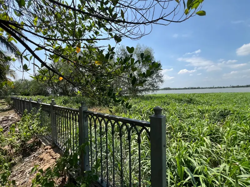 Khu Đất Đặc Quyền Ven Sông Long Phước Quận 9 Với Mặt Tiền 270m... Bán đất tại Long Phước, Hồ Chí Minh 01
