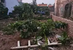 Cơ hội sở hữu đất đẹp tại Yên Mỹ với giá tốt chưa từng có... Bán đất tại Thanh Trì, Hà Nội 03