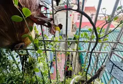 Bán nhà riêng 4 tầng tại khu vực phát triển, gần vành đai 4... Bán nhà riêng tại Hoài Đức, Hà Nội 11