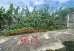 Đất sạch hướng Đông Nam giá hời tại Lương Tài Bắc Ninh... Bán đất tại Lương Tài, Bắc Ninh 04
