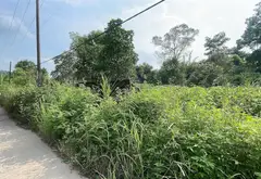 Bán đất 4187m2 Thôn 2 Trung Giã, mặt tiền 105m, đường ô tô thông... Bán đất tại Trung Giã, Hà Nội 08