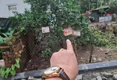 Lô Đất Đẹp Trung Tâm Lê Xá Gần Vinhomes Global Gate giá 6.5 tỷ... Bán owner_side tại Đông Anh, Hà Nội 05