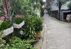 Bán đất 54m² ngõ Bình Kiều, Đông Hải, Hải Phòng... Bán đất tại Đông Hải, Hải Phòng 04