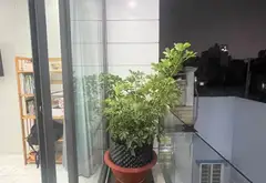Bán nhà 4 tầng 33.1m2 tại Phường Thông Tây Hội, giá 5 tỷ... Bán nhà riêng tại Thông Tây Hội, Hồ Chí Minh 09