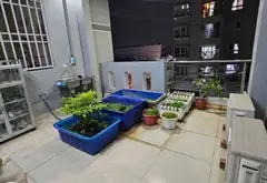 Bán nhà riêng 4 tầng 72m2 tại Phường 16, Quận 8 với hẻm xe tải 8m sát mặt tiền... Bán nhà riêng tại Phú Định, Hồ Chí Minh 13