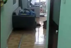 Nhà riêng 51m2 gần mặt tiền Quốc Lộ 1A, cơ hội hiếm giá tốt dưới 2.2 tỷ... Bán nhà riêng tại Bình Tân, Hồ Chí Minh 02