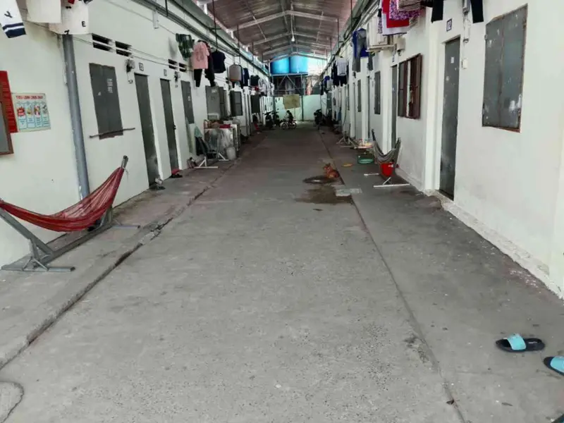 Bán đất mặt tiền Hội Nghĩa 88 Phường Bình Cơ diện tích 700m² pháp lý rõ ràng... Bán đất tại Bình Cơ, Hồ Chí Minh 01