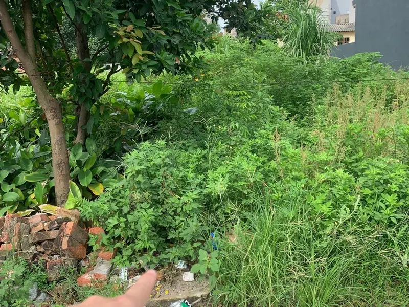 Liên hệ Em Chí 0396576996... Bán đất tại Lạc Đạo, Hưng Yên 01