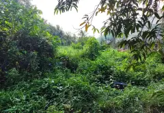 Cơ hội hiếm có sở hữu 1200m đất Thới An giá chỉ 5.7 tỷ... Bán đất tại Thới An, Hồ Chí Minh 05