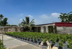Cơ hội sở hữu đất vàng mặt hồ ngay khu đô thị hot, giá đầu tư hấp dẫn... Bán đất tại Văn Giang, Hưng Yên 02