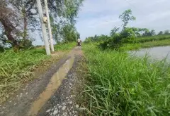 Đất - 1000m² - Bình Lợi, Bình Chánh, TP Hồ Chí Minh - 3 tỷ... Bán đất tại Bình Lợi, Hồ Chí Minh 09