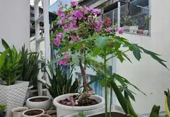 Bán nhà 4 tầng diện tích 28m² tại Phú Nhuận, giá 5.85 tỷ, gần tiện ích đa dạng... Bán nhà riêng tại Cầu Kiệu, Hồ Chí Minh 05