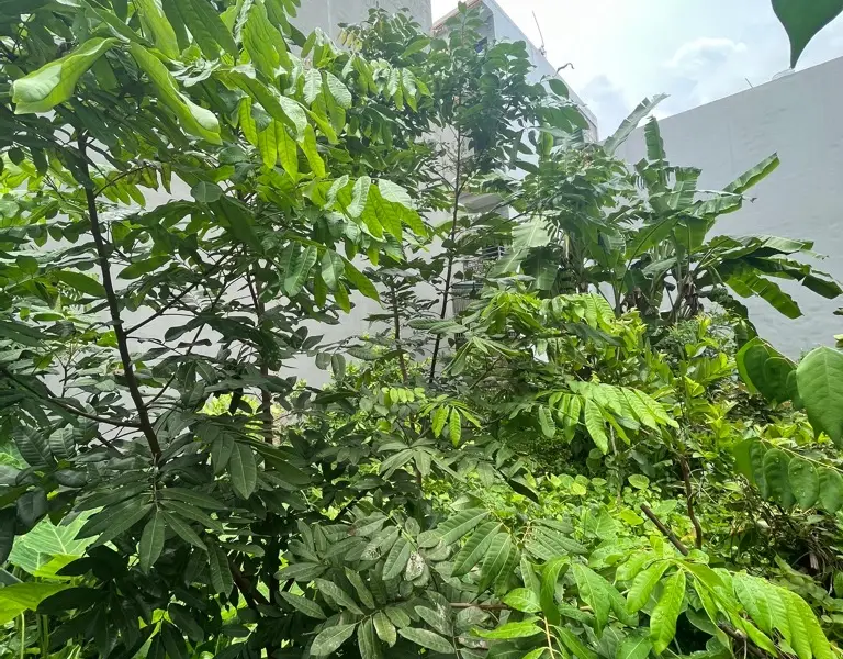 Bán đất mặt tiền 7m tại Đông Dư, diện tích 154m2, vị trí kinh doanh đông dân, ô tô tránh... Bán owner_side tại Bát Tràng, Hà Nội 01