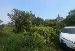 Đất ven sông Nguyễn Văn Cừ, cơ hội vàng đầu tư... Bán đất tại Thủ Dầu Một, Hồ Chí Minh 04